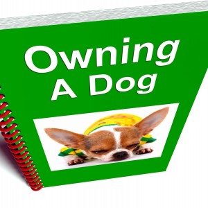 bok om hundlägande